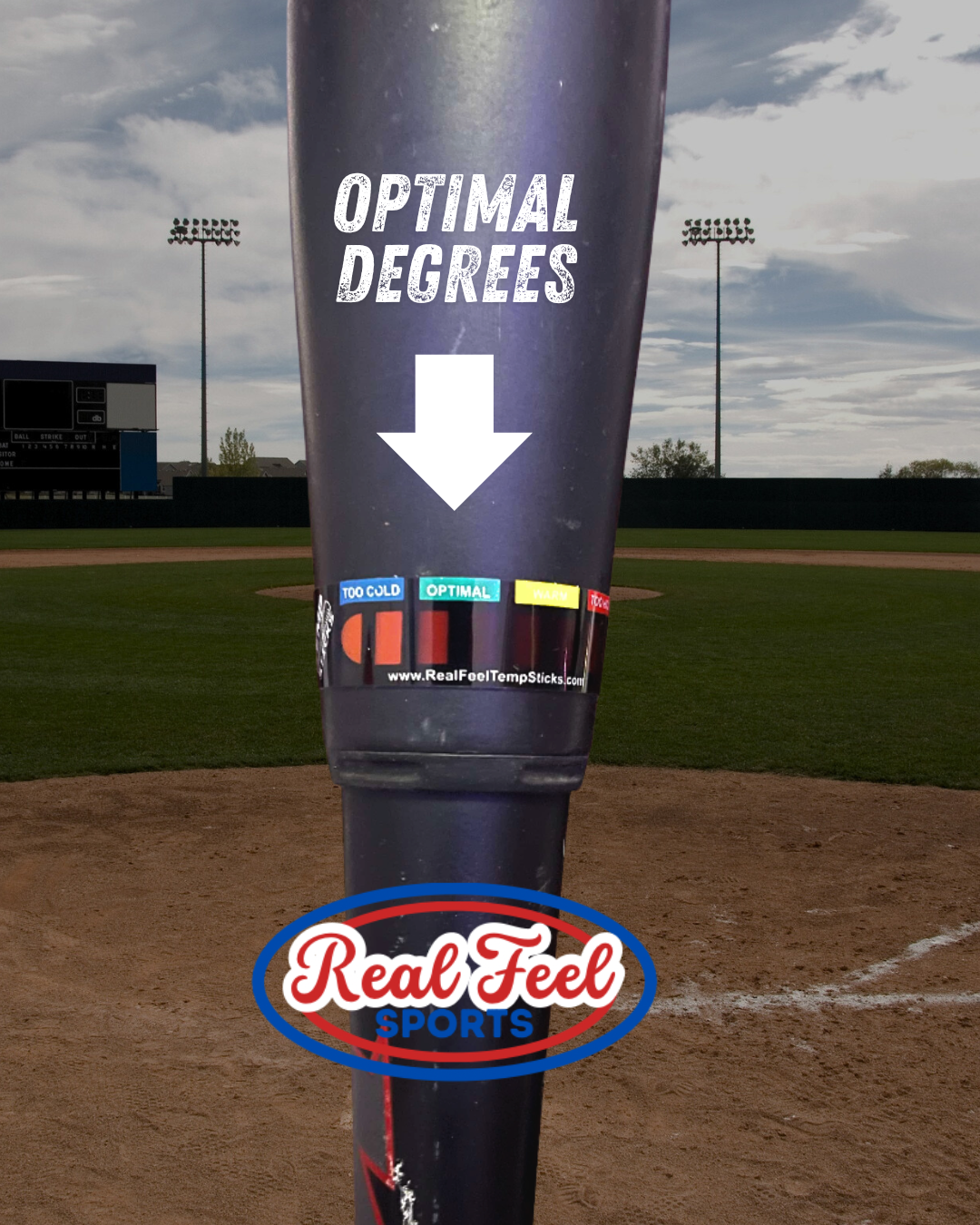 Real Feel Temp Sticks