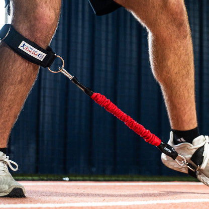 Lower-Half Hitting Trainer