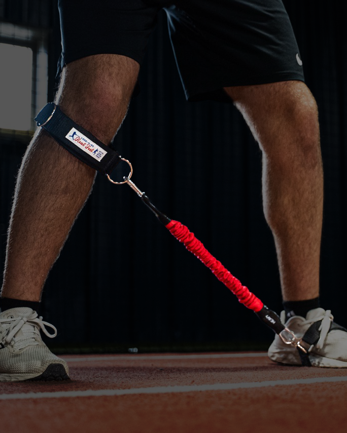 THE LOWER HALF TRAINER